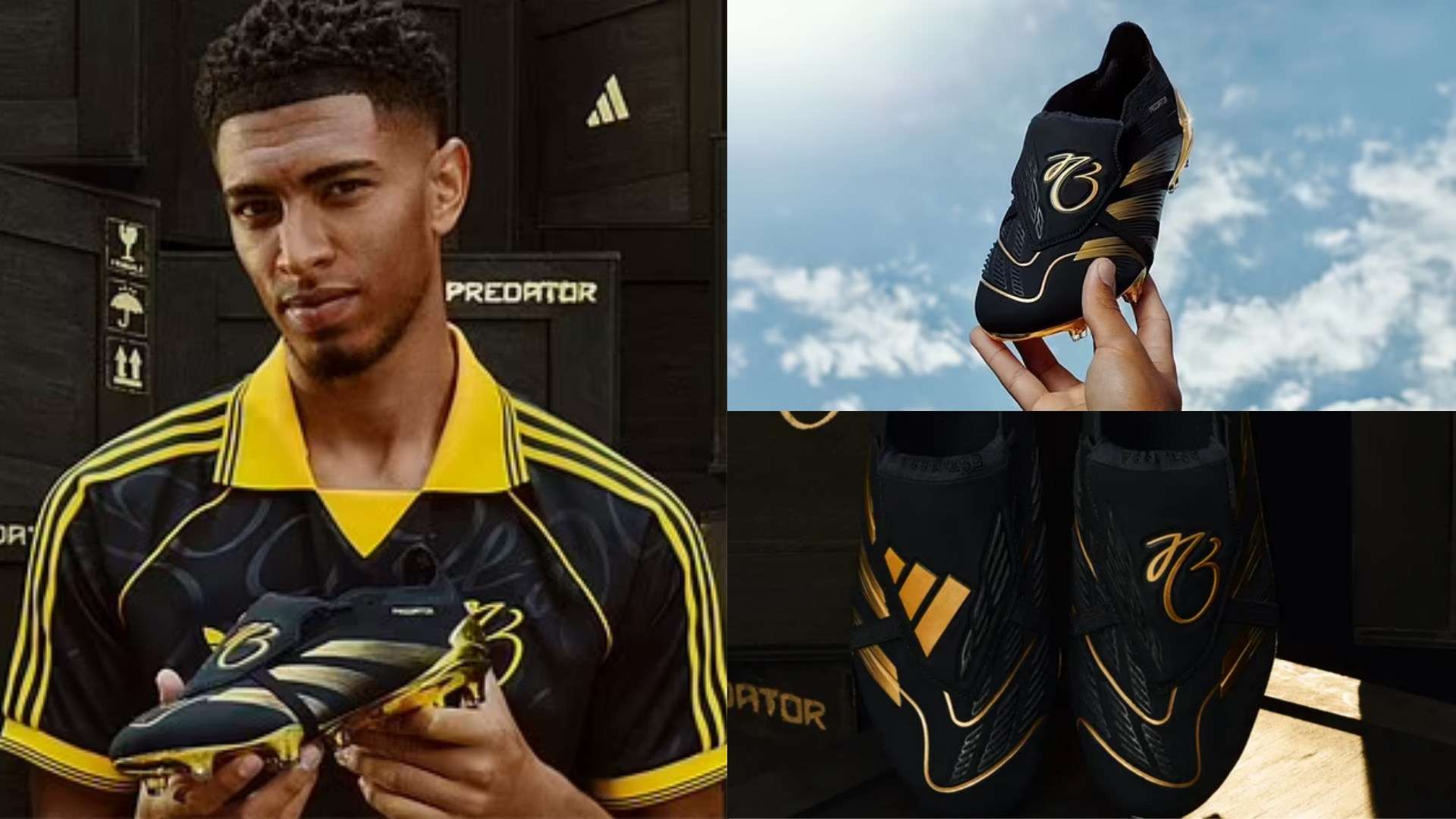 忠实的球迷 忠实的球迷